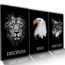 Quadro Decorativo Disciplina Foco Execução kit 3 peças